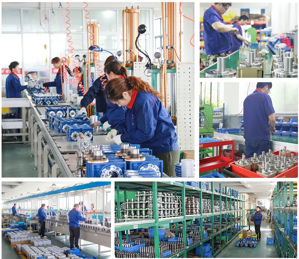Skilled technicians assembling high precision gearboxes inside Ever-Power facility